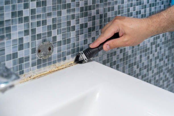 Best Same-Day Mold Removal  in Newport, DE