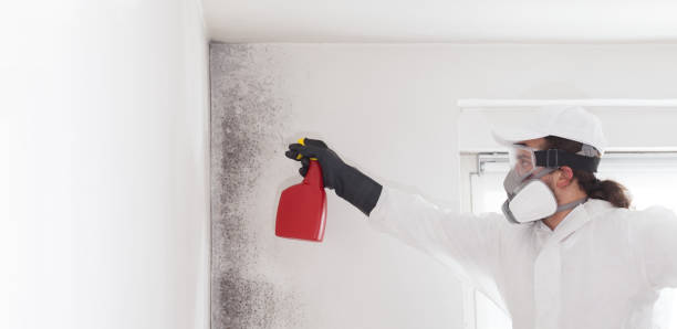 Best Mold Testing  in Newport, DE